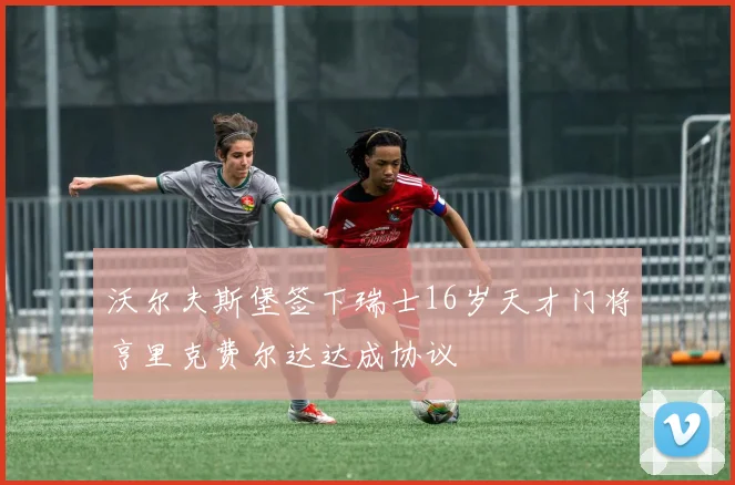沃尔夫斯堡签下瑞士16岁天才门将亨里克费尔达达成协议