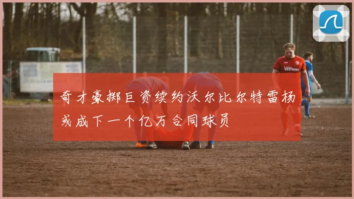 奇才豪掷巨资续约沃尔比尔特雷杨或成下一个亿万合同球员
